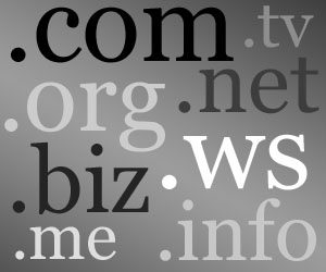 What to Expect with New Domain Names